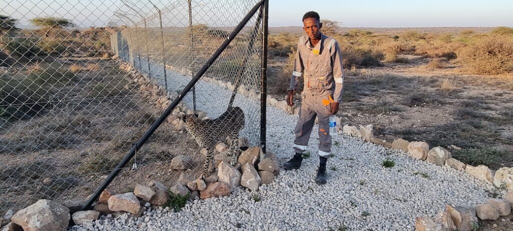 Cheetah Conservation Centre – power from the sun