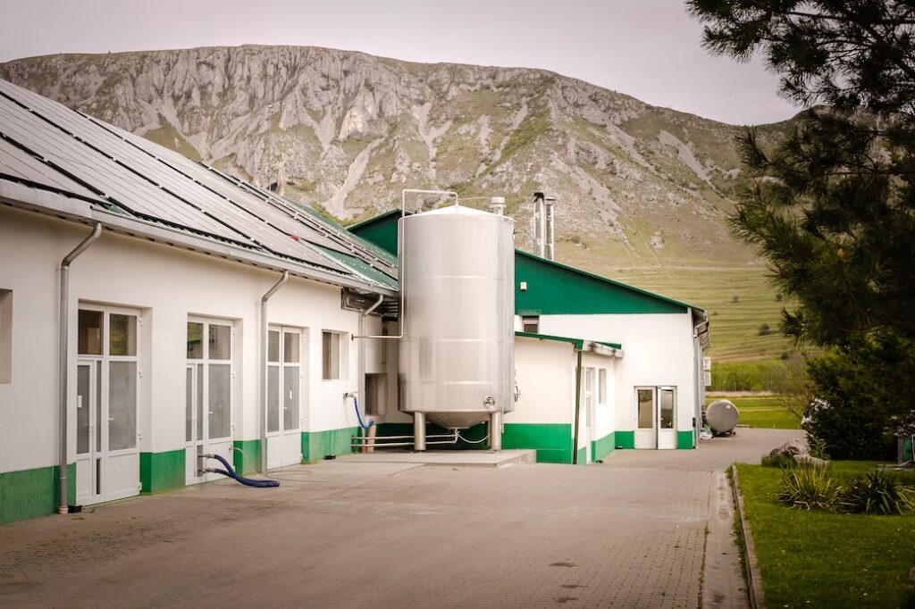 Premium cheese maker uses natural ingredients and solar energy
